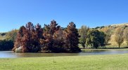 IMG_8838.jpeg