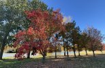 IMG_8850.jpeg