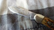 IMG_20240621_125933.jpg