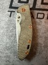 IMG_1308.jpeg