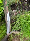 IMG_4768.jpeg