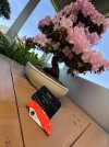 IMG_1001.jpeg