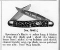 7803 catalog cut001.jpg