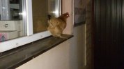 IMG_8510.jpeg
