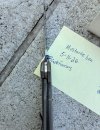 IMG_5337.jpeg IMG_5337.jpeg