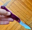 IMG_5679.jpeg