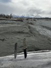 IMG_1665.jpeg