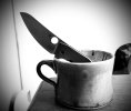 IMG_5987.jpeg