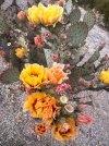 IMG_8759.jpeg