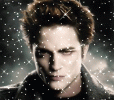 23129.gif