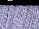 S35VN Dr. Marv 80m 1000x.jpg S35VN Dr. Marv 80m 1000x.jpg