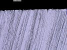 S35VN Dr. Marv 60m 1000x.jpg S35VN Dr. Marv 60m 1000x.jpg