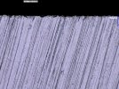 S35VN Dr. Marv 40m 1000x.jpg S35VN Dr. Marv 40m 1000x.jpg