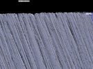 S35VN Dr. Marv 20m 2500x.jpg S35VN Dr. Marv 20m 2500x.jpg
