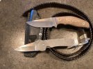 IMG_1775.jpeg