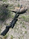 IMG_4177.jpeg