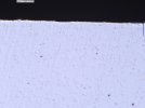 1000032020.jpg