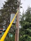 IMG_0244.jpeg