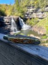 IMG_0820.jpeg