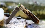 AW Stag Damascus LF 25-6.JPG AW Stag Damascus LF 25-6.JPG