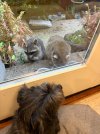 IMG_5900.jpeg
