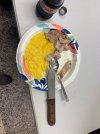IMG_7412.jpeg
