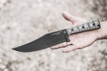 prather-war-bowie-7.jpg