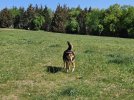 20260515_094616.jpg 20260515_094616.jpg