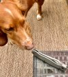 IMG_9685.jpeg
