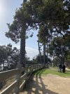 IMG_2513.jpeg
