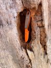 IMG_1828.jpeg