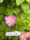 IMG_6285.jpeg
