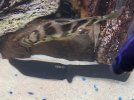 IMG_7287.jpeg