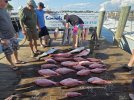 IMG_8404.jpeg