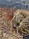 IMG_7348.jpeg