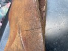 IMG_3326.jpeg IMG_3326.jpeg