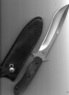 img002.jpg img002.jpg