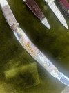 IMG_8025.jpeg