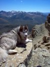 June 2011 2738.jpg