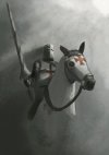 Knight_Templar_by_robrobusa.jpg