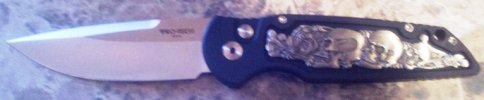 2015ShotTR3Skull.jpg 2015ShotTR3Skull.jpg