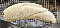 Carving - Eagle.jpg Carving - Eagle.jpg
