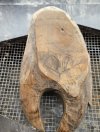 Carving - Walrus.jpg Carving - Walrus.jpg