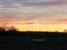 IMG_0923.jpeg IMG_0923.jpeg