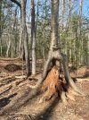 IMG_7213.jpeg