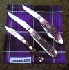 2026-05-21 GEC94 Plum CASE6254 CASETB6339 Cabernet.JPG