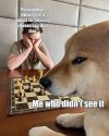 IMG_2530.jpeg