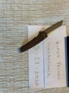 IMG_2700.jpeg