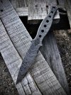 IMG_1882.jpeg
