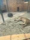 IMG_8580.jpeg